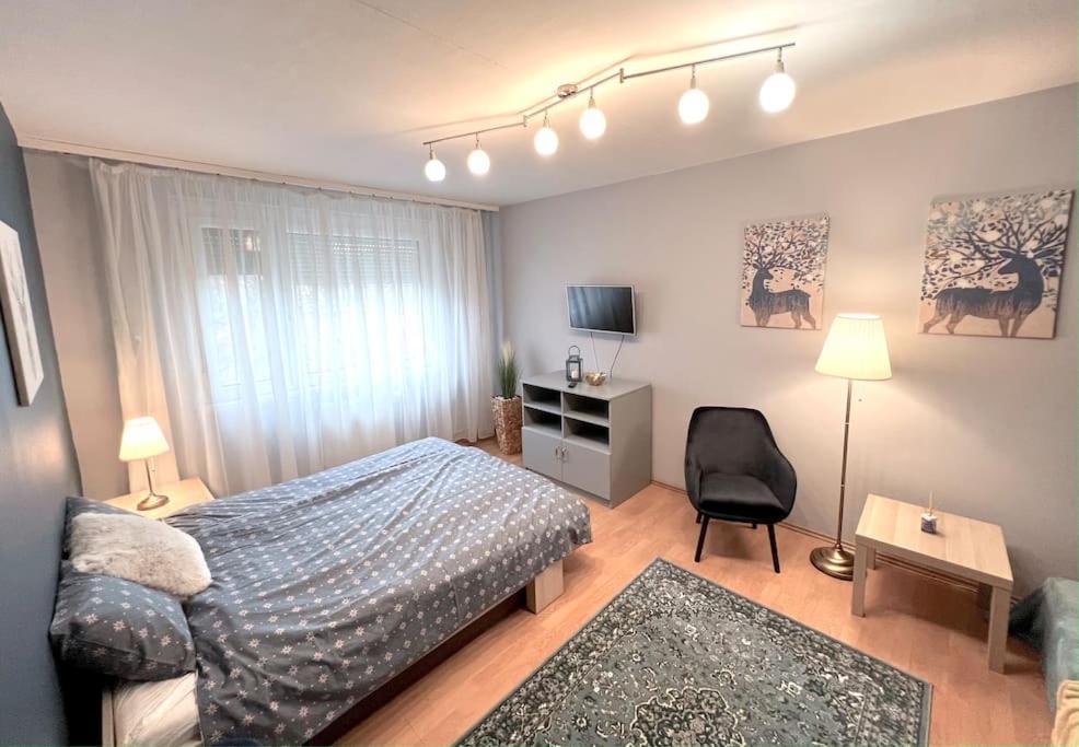 Pille Apartman Сегед Екстериор снимка